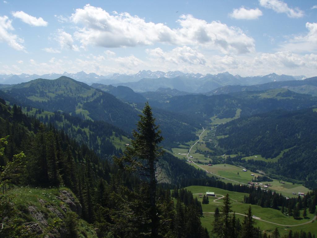 Апартаменти Alpenroesle Бальдершванг Екстер'єр фото